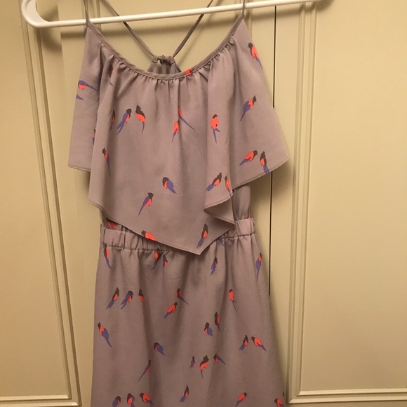 🐦American Eagle Gray Bird Dress 🐦 - Picture 2 of 3
